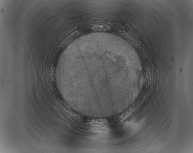 X0000085730659200704091445