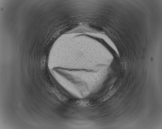 X0000085730660200704091445