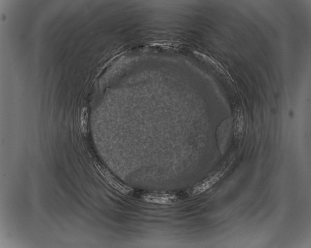 X0000085730661200704091445