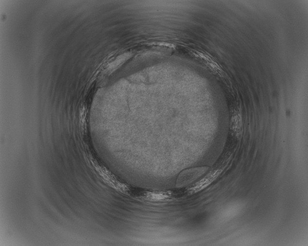 X0000085730662200704091445