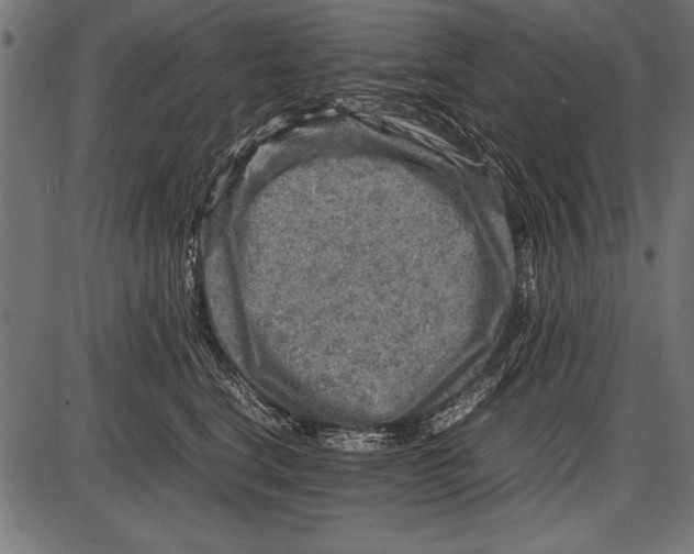 X0000085730664200704091445