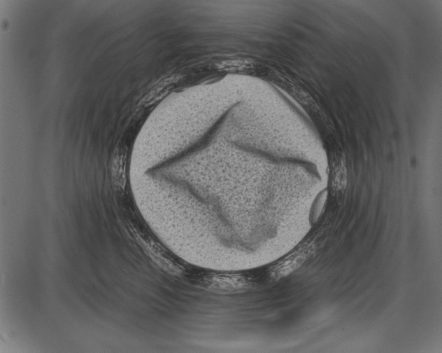 X0000085730666200704091445