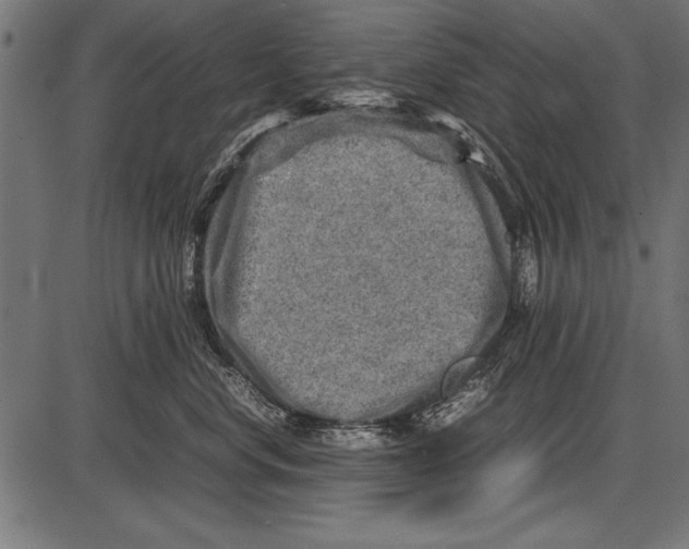 X0000085730668200704091445