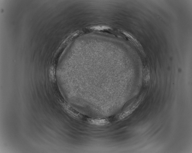 X0000085730669200704091445