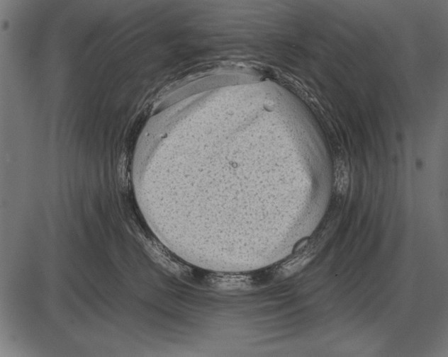 X0000085730670200704091446