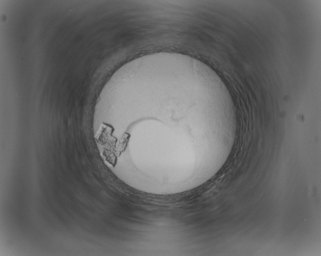 X0000085730672200704091446