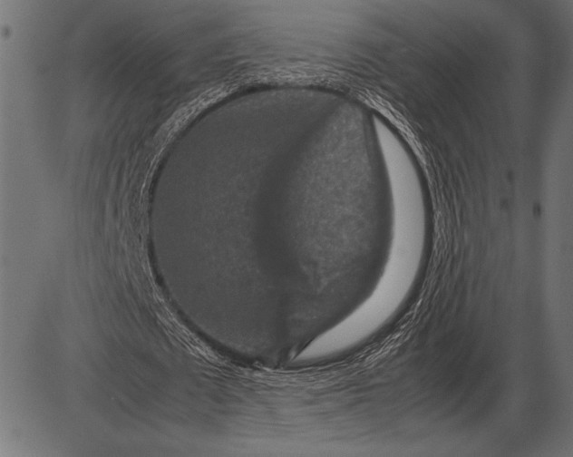 X0000085730673200704091445