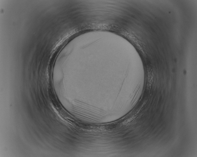 X0000085730674200704091445