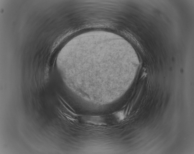 X0000085730676200704091445