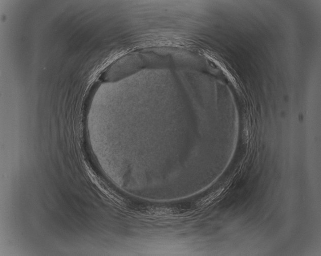 X0000085730677200704091445