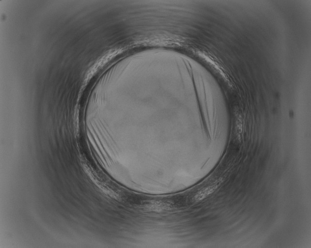 X0000085730678200704091445