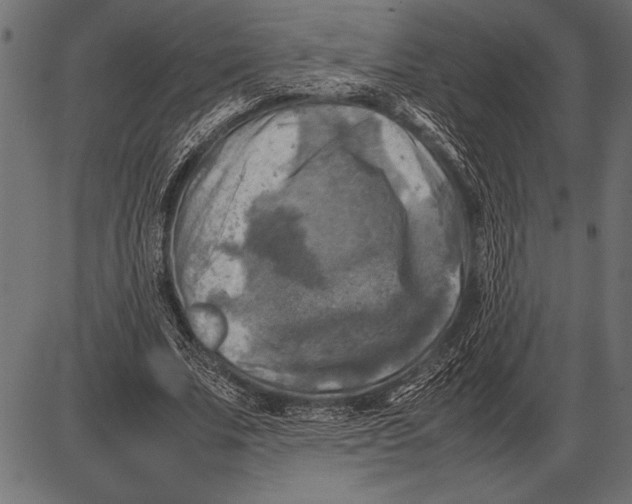 X0000085730679200704091445