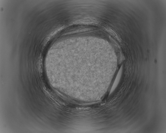 X0000085730680200704091445