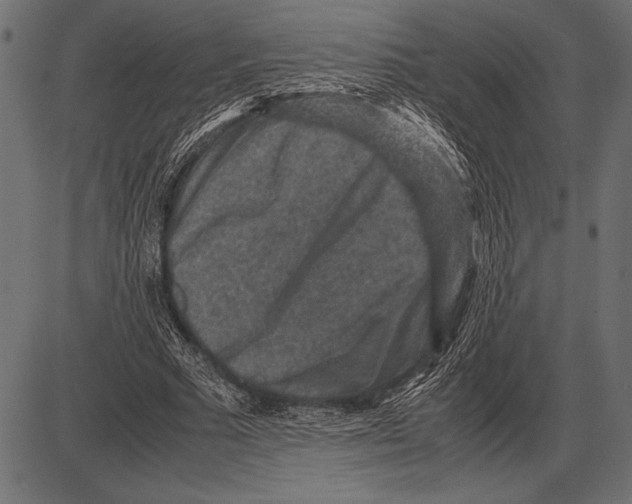 X0000085730681200704091445