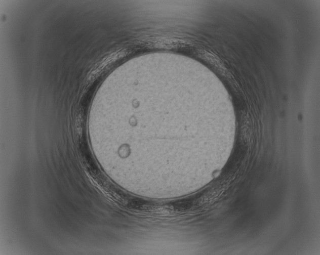 X0000085730683200704091445