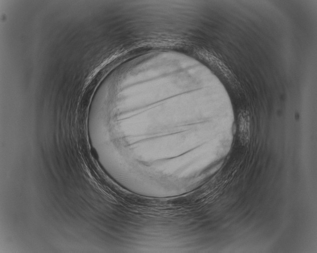 X0000085730684200704091445