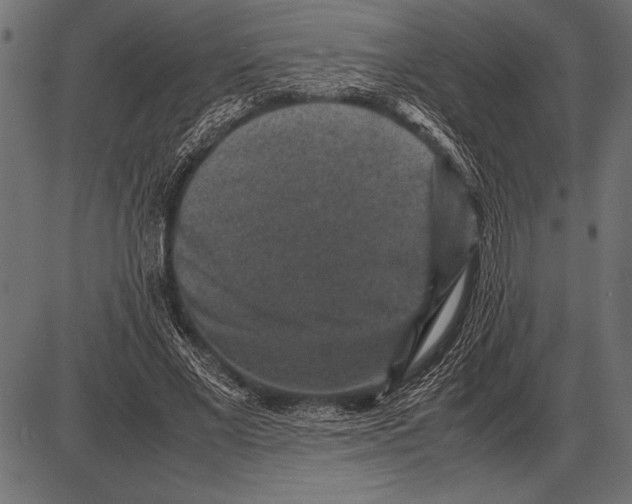 X0000085730685200704091445