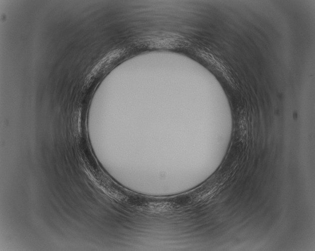 X0000085730686200704091445