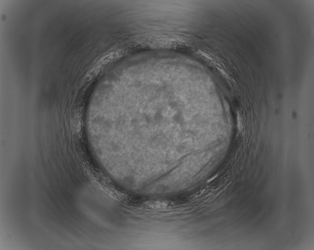 X0000085730687200704091445