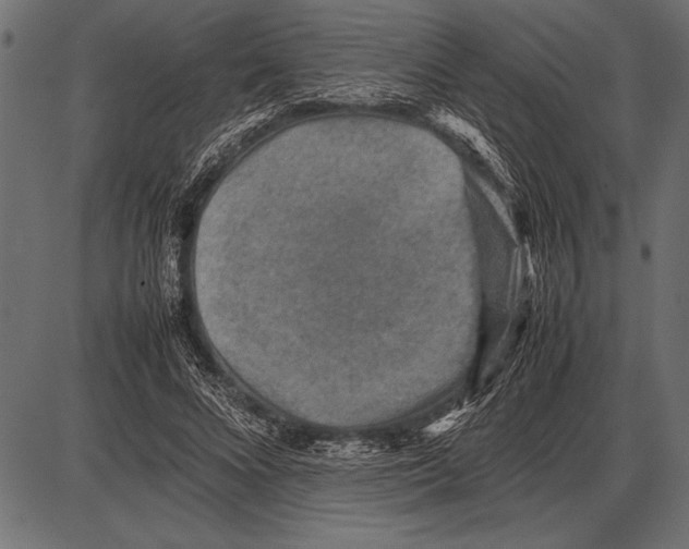 X0000085730688200704091444