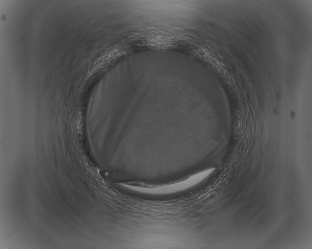 X0000085730689200704091444