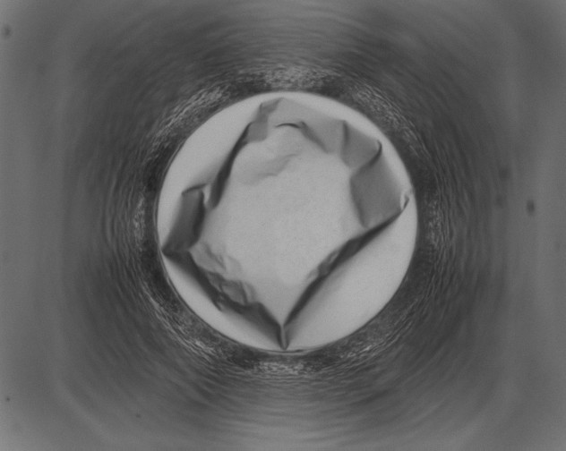 X0000085730690200704091444