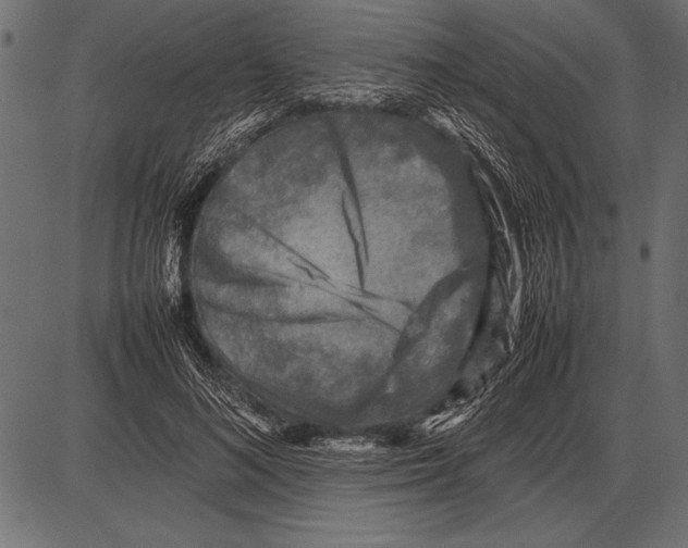 X0000085730692200704091444