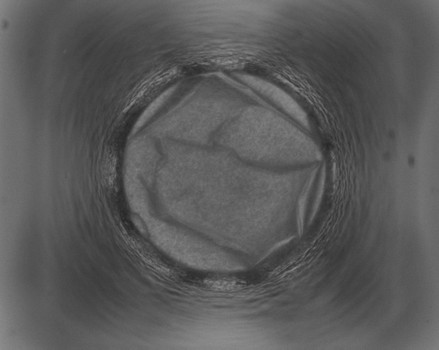 X0000085730693200704091444