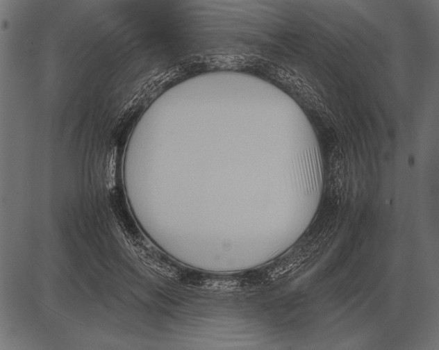 X0000085730694200704091444