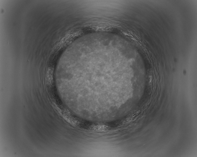 X0000085730695200704091444