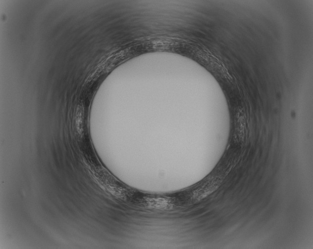 X0000085730698200704091444