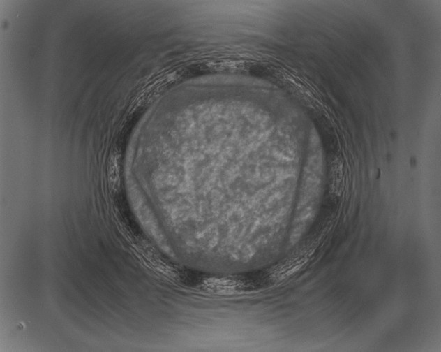 X0000085730699200704091444