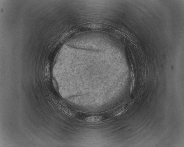 X0000085730700200704091444