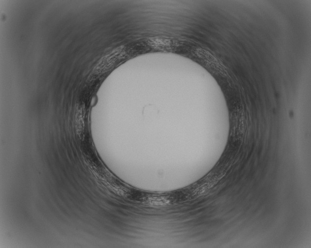 X0000085730702200704091444