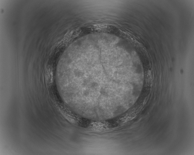 X0000085730703200704091444