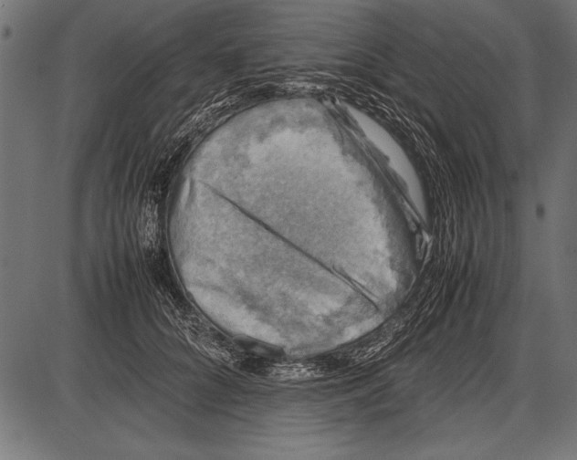 X0000085730704200704091444