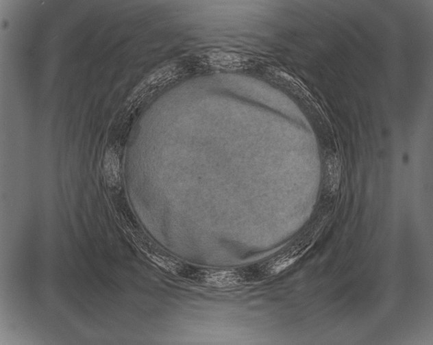 X0000085730705200704091444