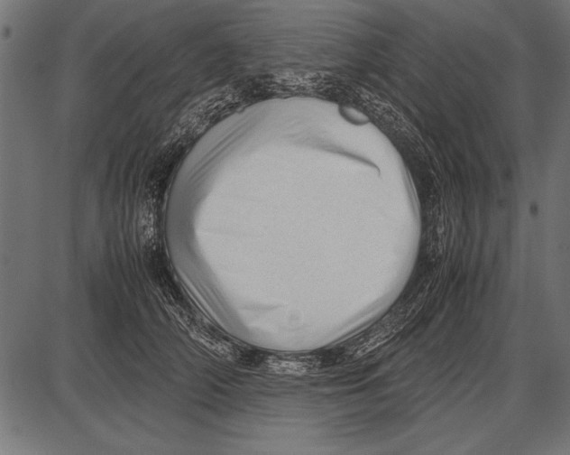 X0000085730706200704091444