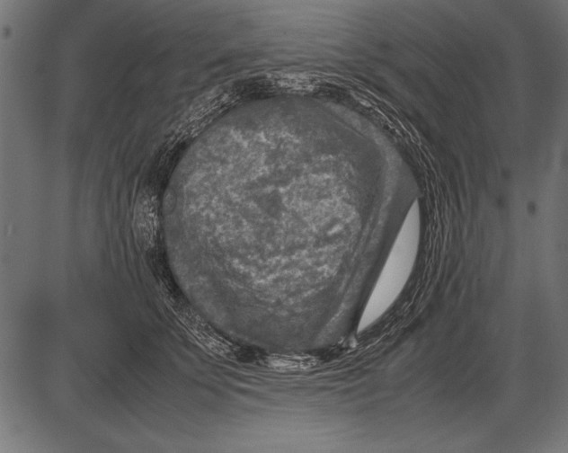 X0000085730707200704091444