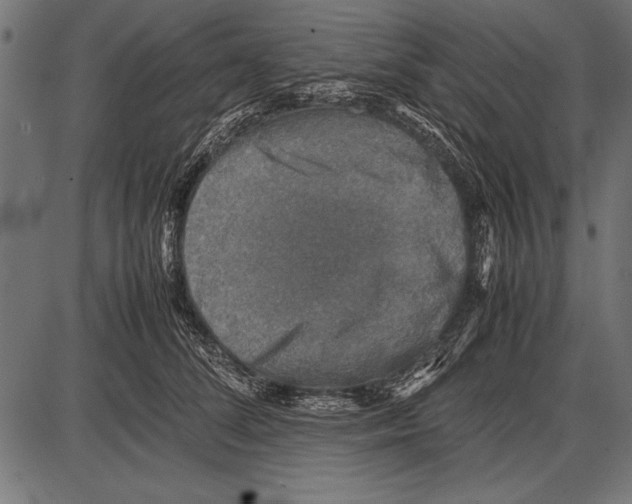 X0000085730708200704091444