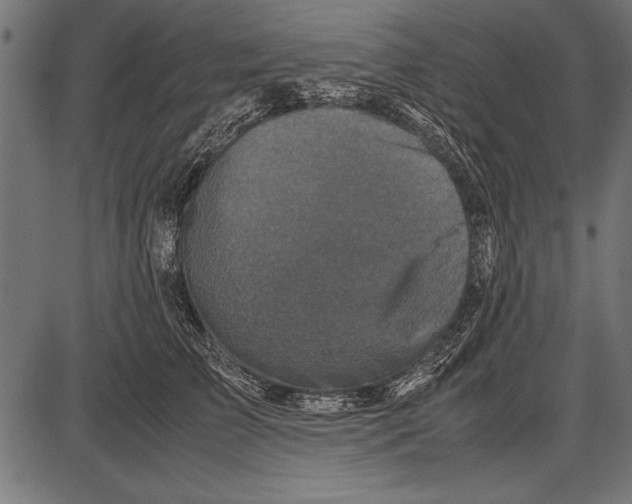 X0000085730709200704091444