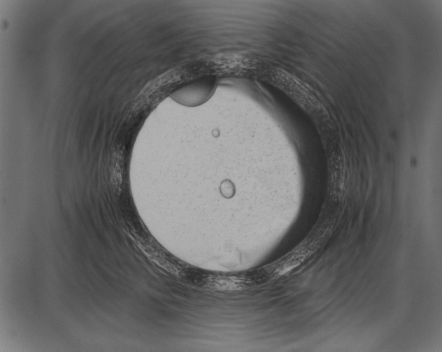 X0000085730710200704091444