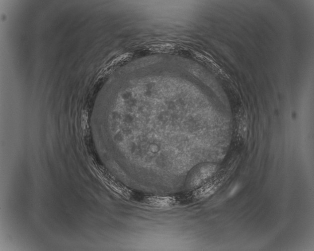 X0000085730711200704091444