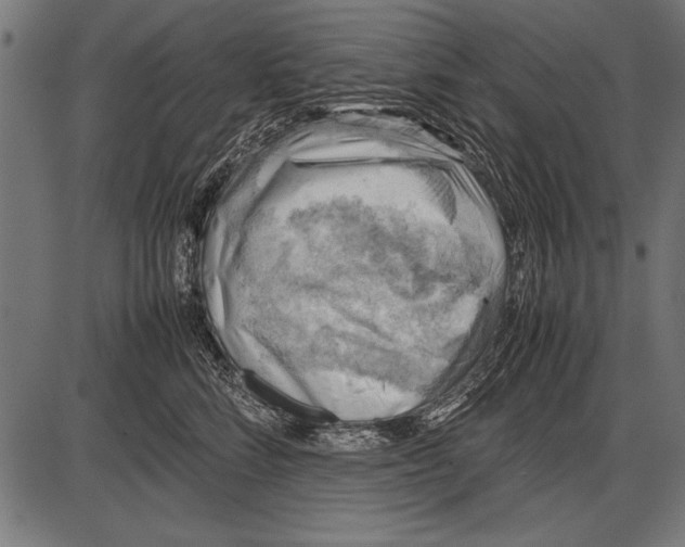 X0000085730712200704091444