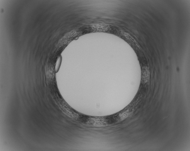 X0000085730713200704091444