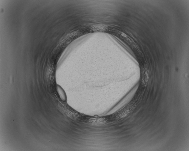 X0000085730714200704091444