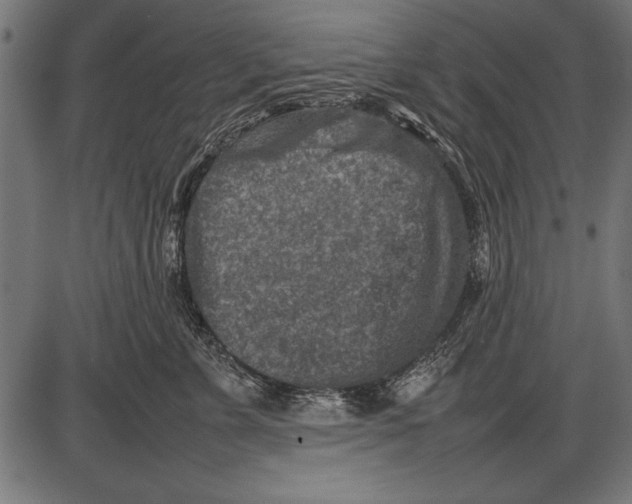 X0000085730715200704091444