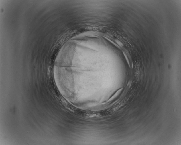 X0000085730716200704091444