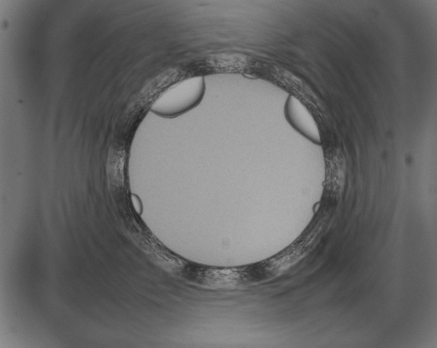 X0000085730717200704091444