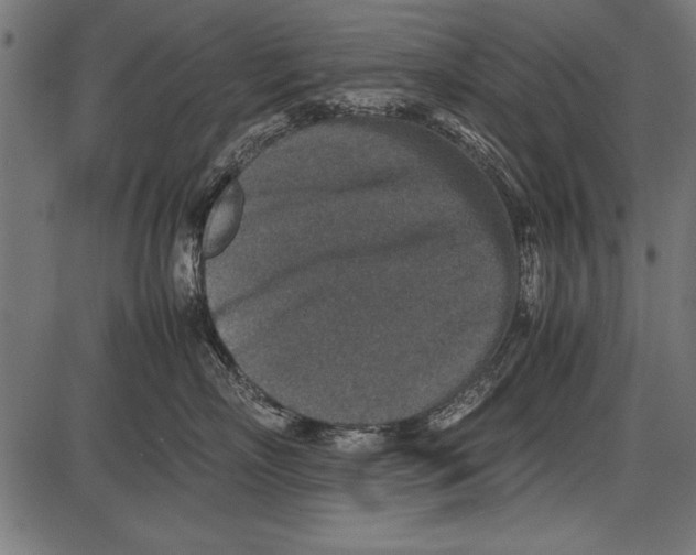 X0000085730718200704091444